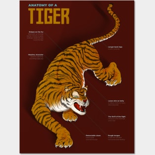 The Eye of the Tiger Posters and Art